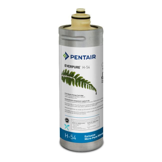 Filtro Everpure H54 973006 Filtro Everpure H54 973006