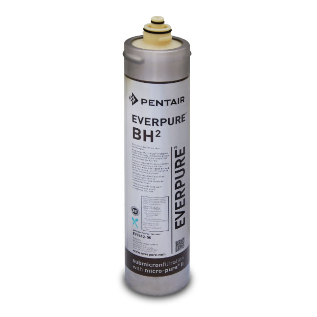 Filtro Everpure BH2 - EV9612-50