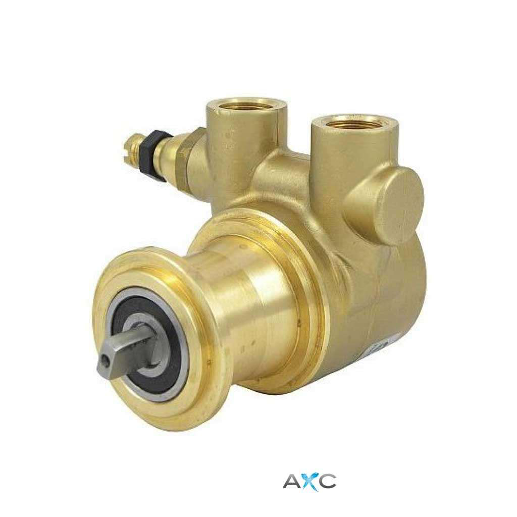 Pompa a palette 150 litri/h Pompa a palette 150 litri/h